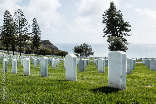Grave markers with an ocean background and trees at Fort Rosecrans National Cemetery in San Diego, California. photo