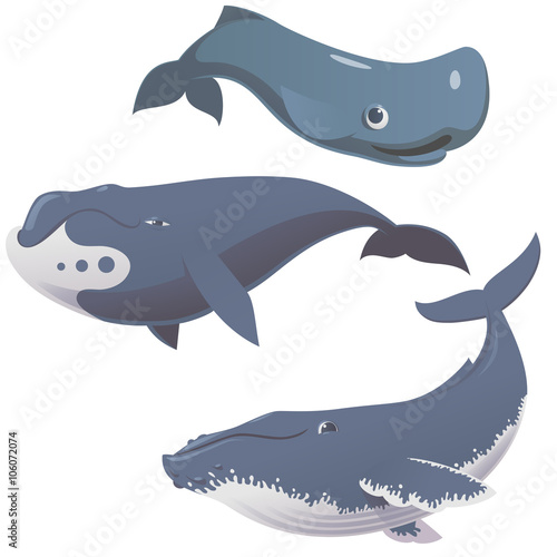 Funny cute whales set