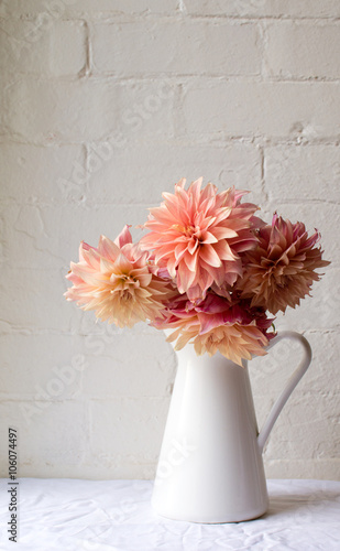 Vászonkép Coral pink dahlias in a white jug on a white tablecloth against a white brick wa
