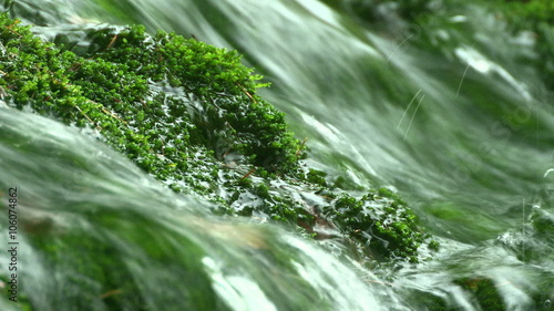 小川の流れ　清らかな清流の流れ
