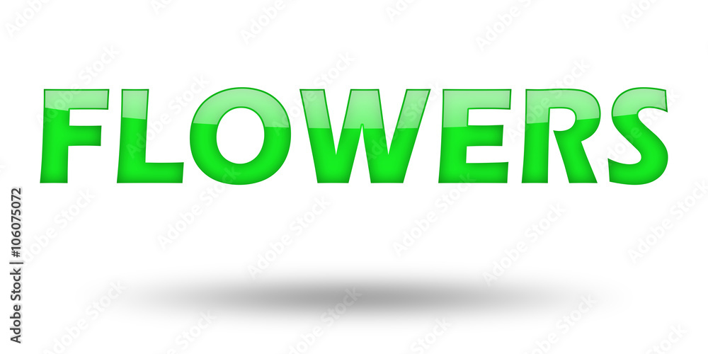 Word Flowers with green letters and shadow. Word Flowers with green letters and shadow.