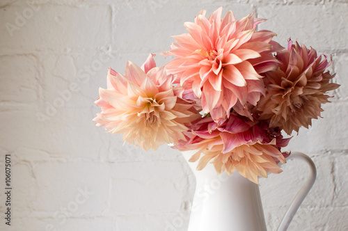 Coral pink dahlias in a white jug against a white brick wall (cropped)