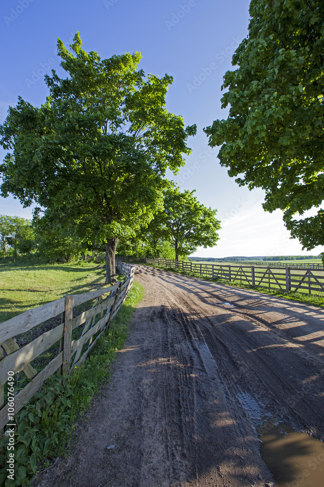 Fototapeta premium Spring road -, countryside 