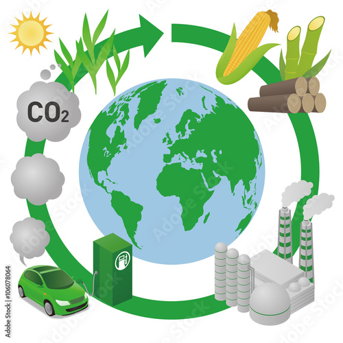 Biofuel: Biomass ethanol  life cycle and earth, diagram illustration