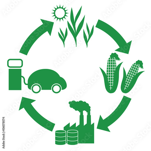 Biofuel: Biomass ethanol  life cycle, diagram illustration
