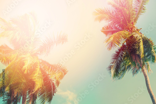 Palm Tree Sun Light Travel Background Design Toned © olga pink