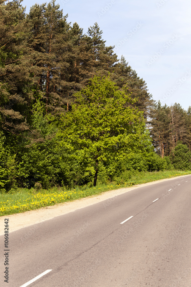 Fototapeta premium asphalt road , spring