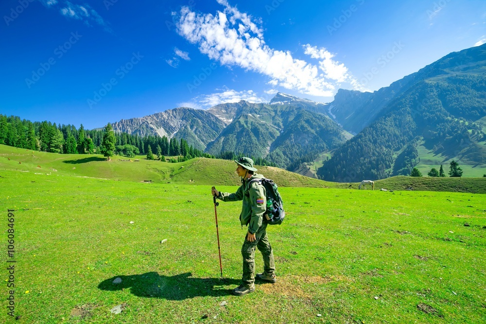 Fototapeta premium freedom on a Hill, Sonamarg,kashmir