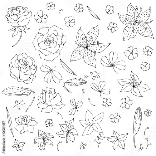 vector set of flowers and leaves