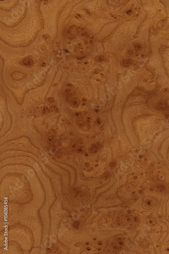 timber grain of burr elm