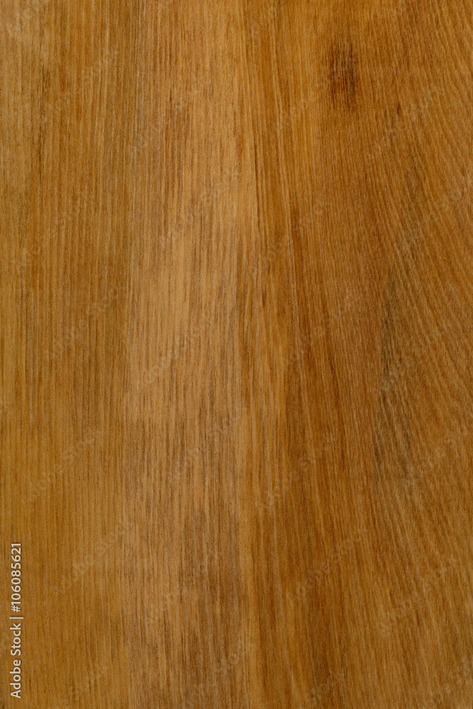 timber grain of New Zealand White Pine, (Kahikatea), Dacrycarpus dacrydioides timber grain of New Zealand White Pine, (Kahikatea), Dacrycarpus dacrydioides