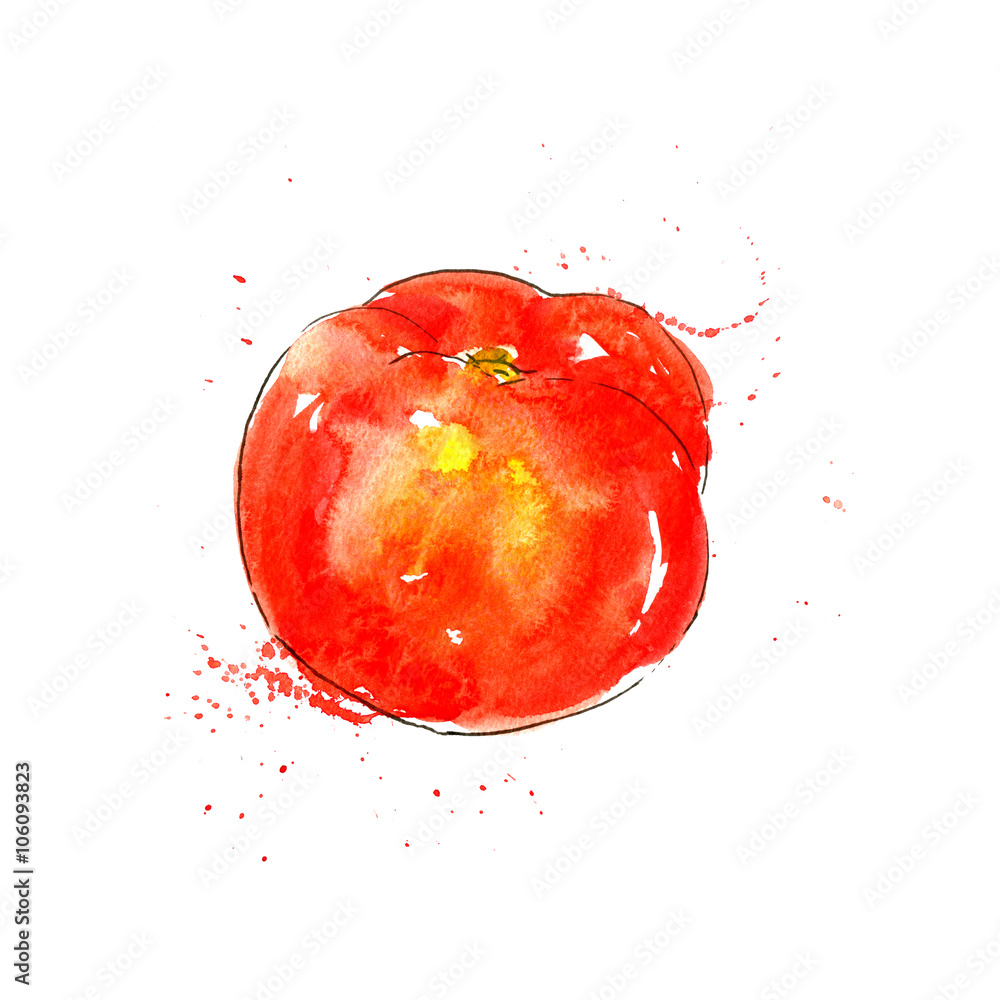 watercolor red tomato