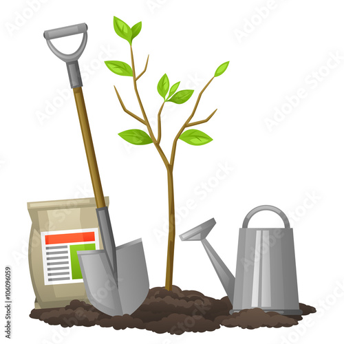 Seedling fruit tree with shovel, fertilizers and watering can. Illustration for agricultural booklets, flyers garden