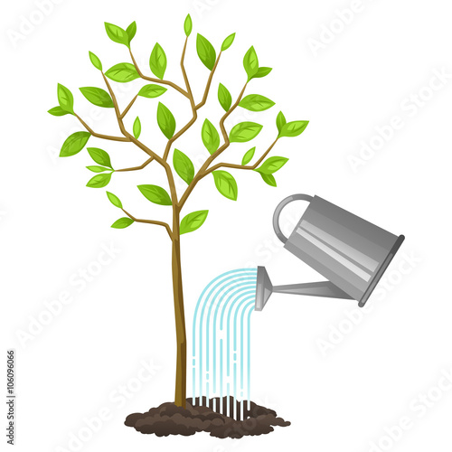 Illustration of watering tree from can. Image for agricultural booklets, flyers garden