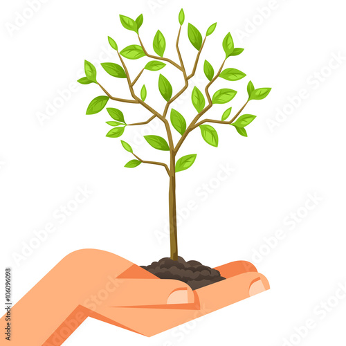 Illustration of human hand holding green small tree. Image for booklets, banners, flayers, article and social media