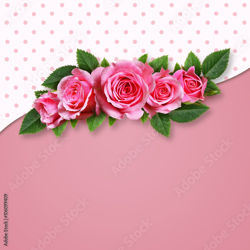 Pink rose flowers on pink b...