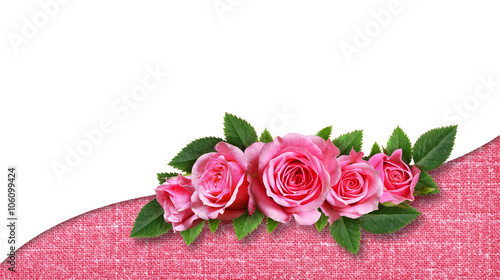 Pink rose flowers wave arra...