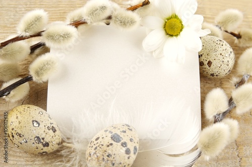 Blank card easter greetings wooden plank,eggs,catkins,feather