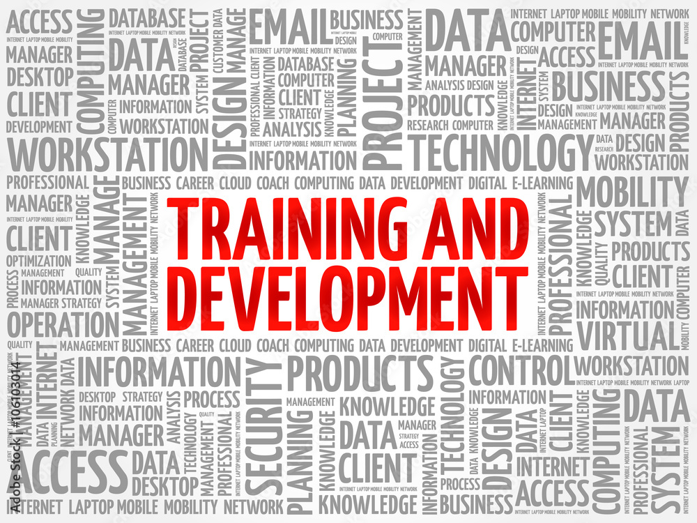 Training and Development word cloud concept Training and Development word cloud concept