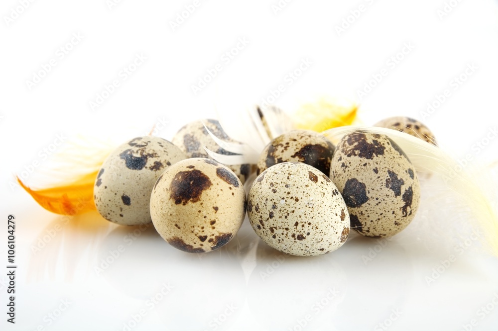 Obraz premium Group easter quail eggs on white tablecloth with feathers