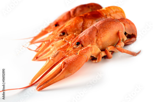 hree lobster on a white background