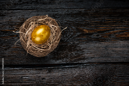 Golden egg in a nest