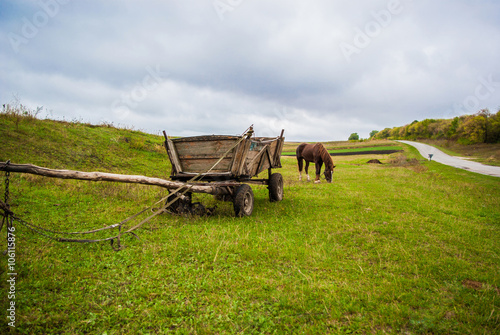 Horse cart in Village