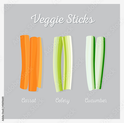 Raw segetable sticks. Vector illustration, flat lay.