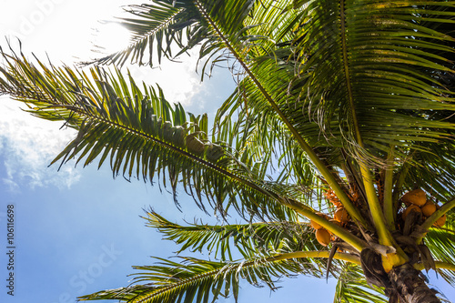 Strand Mauritius