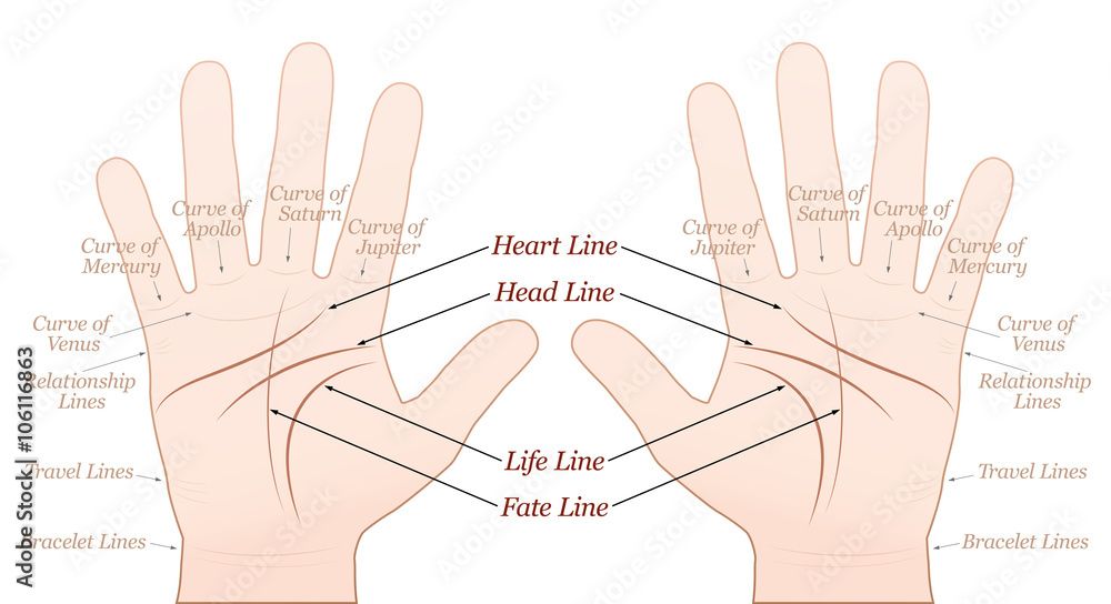 4 Ways to Read Palm Lines - wikiHow | Palm reading, Palm reading charts,  Palm lines
