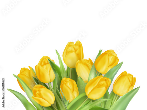 Yellow Tulips Flowers. EPS 10