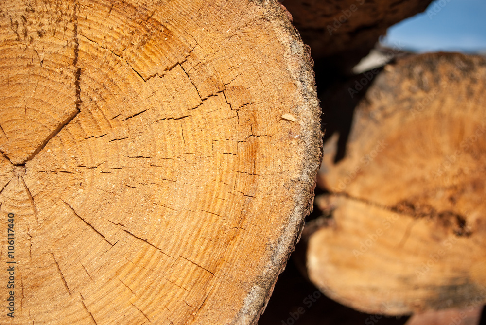 Naklejka premium Wood background