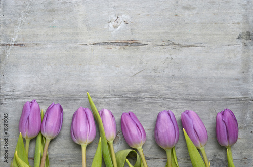 Fototapeta Naklejka Na Ścianę i Meble -  Old grey wooden background with purple white tulips summer spring decoration border in a line and empty copy space mock up layout