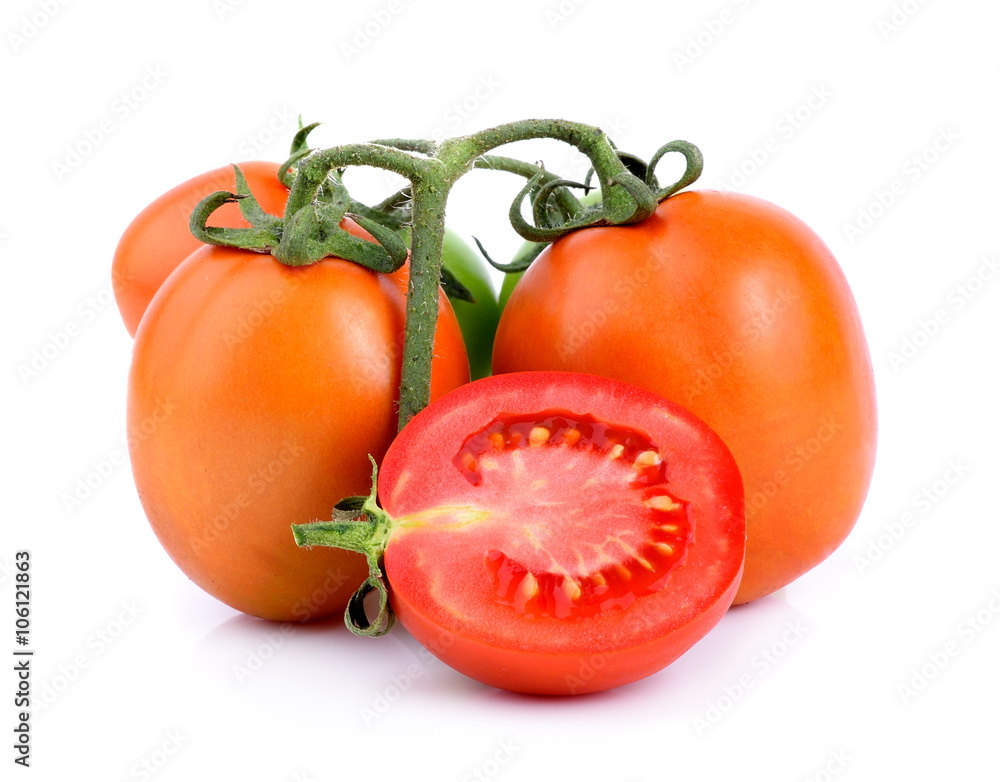 tomato on the white ground tomato on the white ground