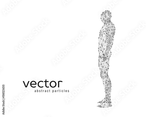 Vector illustration of human body