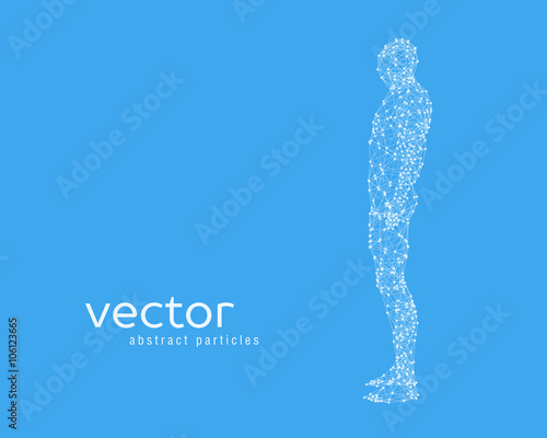 Vector illustration of human body