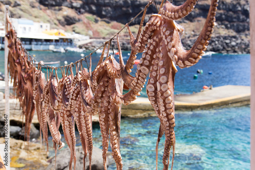 Octopus hung on a string in Oia, Santorini
