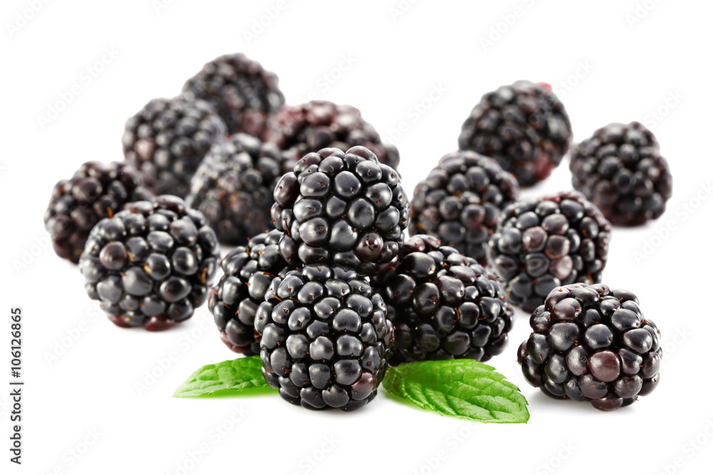 blackberry blackberry