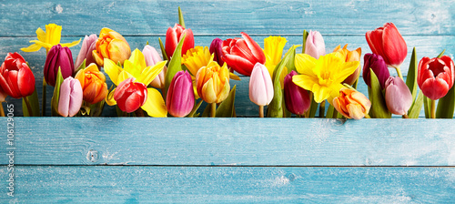 Colorful arrangement of fresh spring flowers