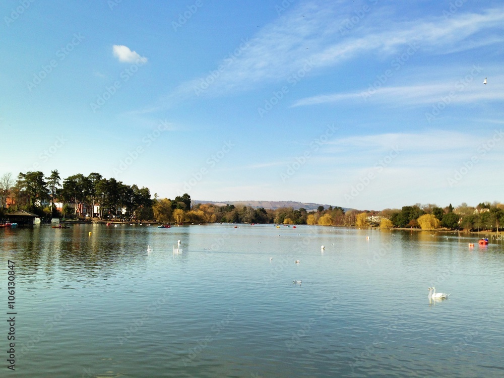 Obraz premium Roath park south wales