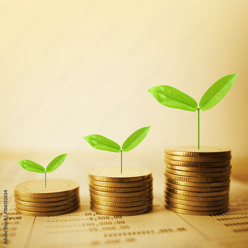 Growing plant on row of coin money for finance and banking concept
Growing plant on row of coin money for finance and banking concept