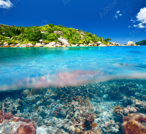Coral reef at Seychelles