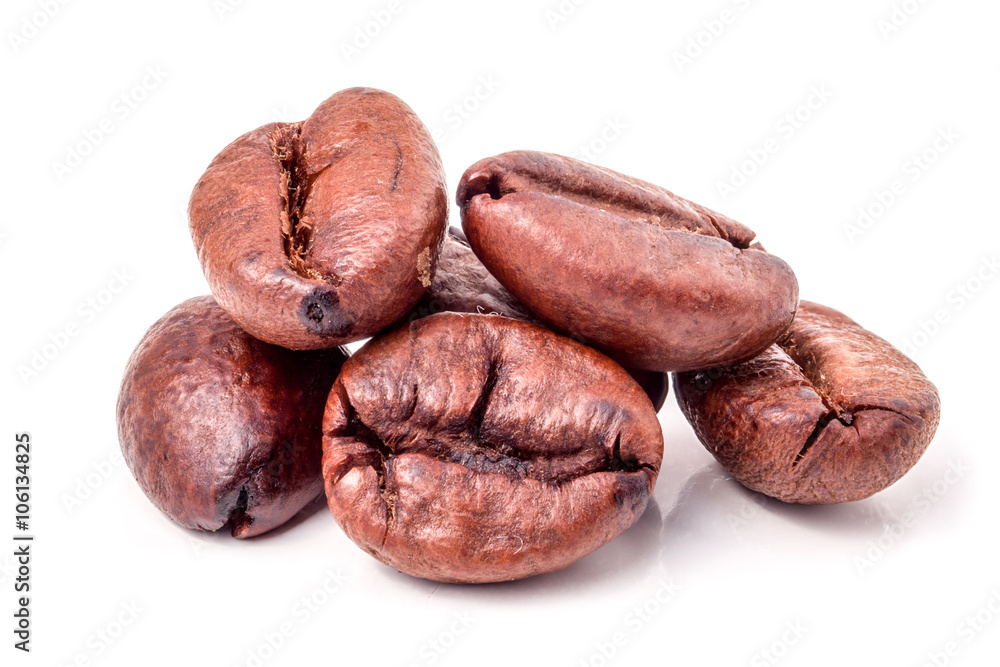 Several coffee grains on white background Several coffee grains on white background