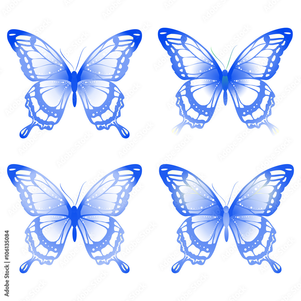 Obraz premium butterflies design