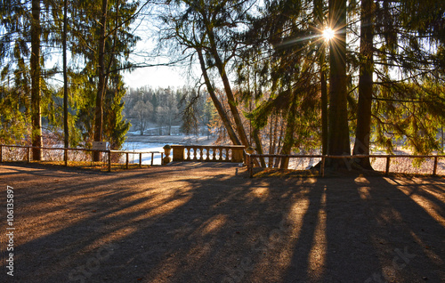 March morning in the Park of Pavlovsk.