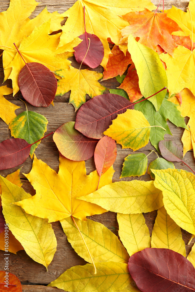 Autumn leaves on the wooden background Autumn leaves on the wooden background