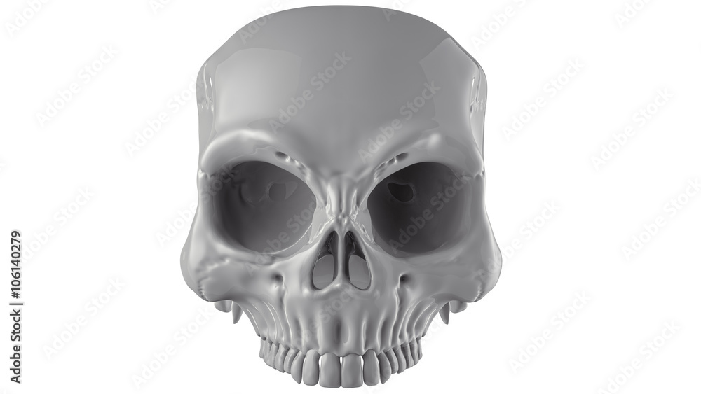 The skull on light background The skull on light background