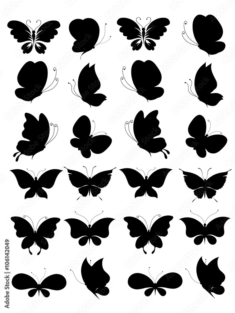 Fototapeta premium butterflies design