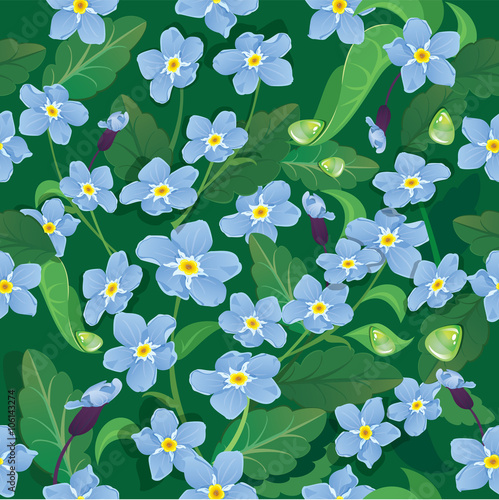 Seamless pattern with beautiful flowers - forget me not - floral