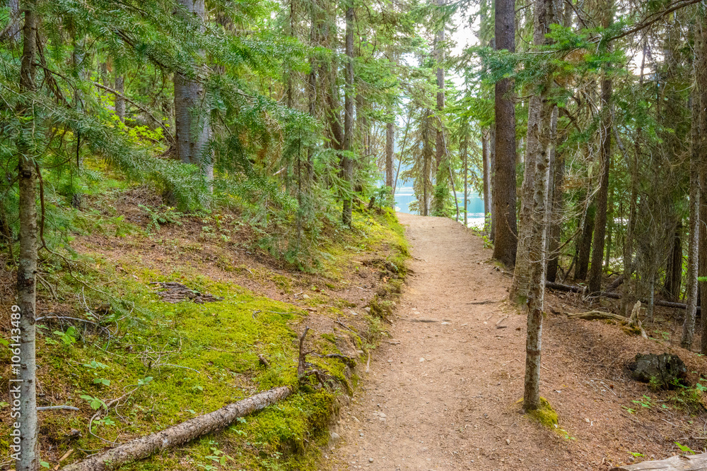 Fragment of Lightning Lake trail in Manning Park, British Columbia, Canada. Fragment of Lightning Lake trail in Manning Park, British Columbia, Canada.